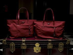 化石箱包 品質(zhì)與時尚的完美結(jié)合